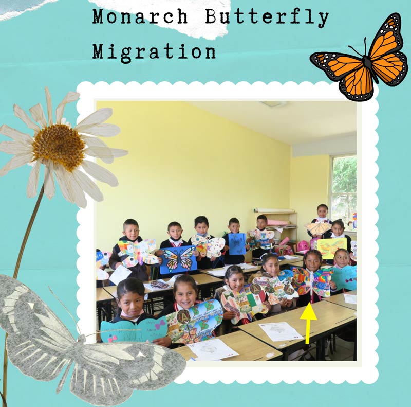 monarch butterfly migration project by DMP students