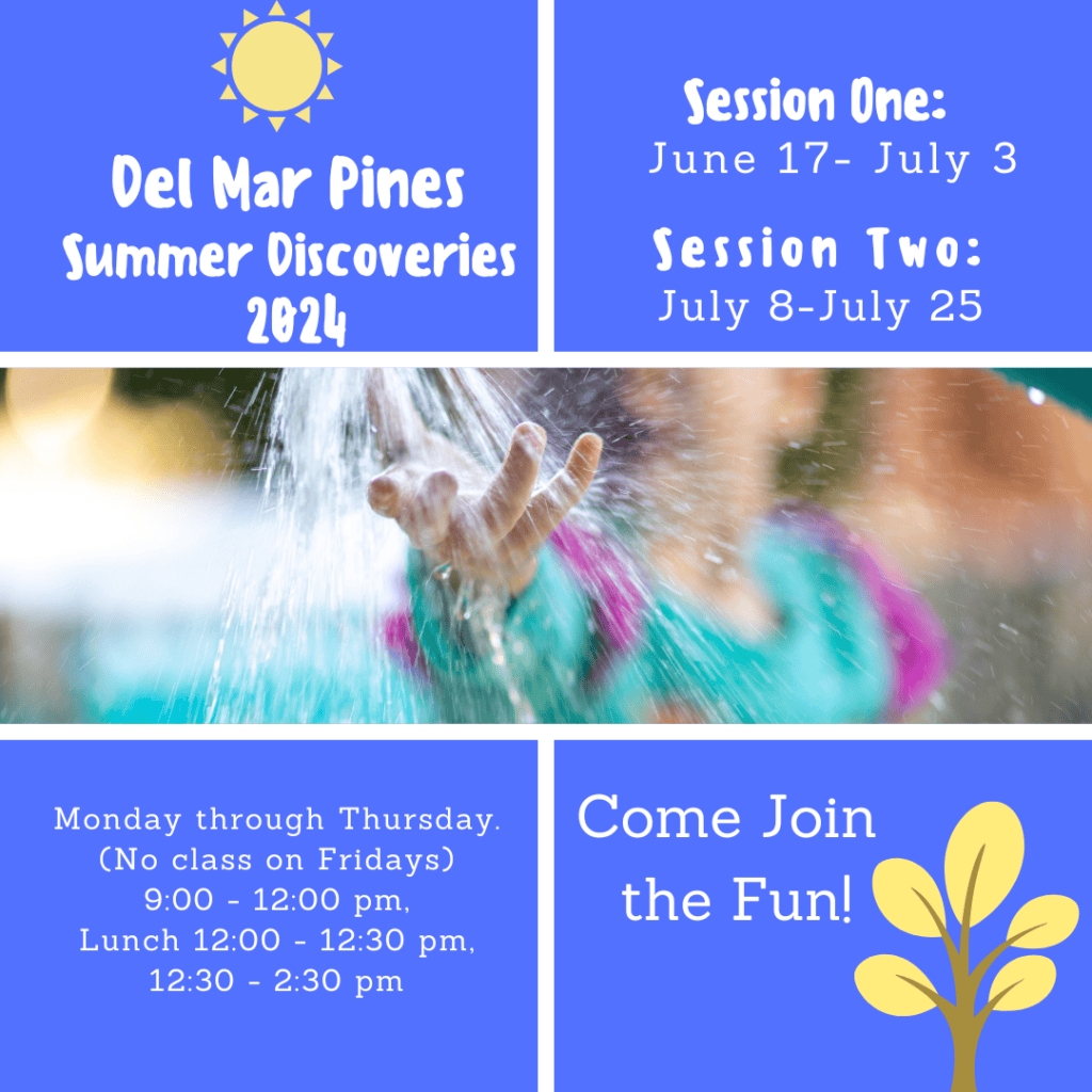 summer day camp 2024 poster