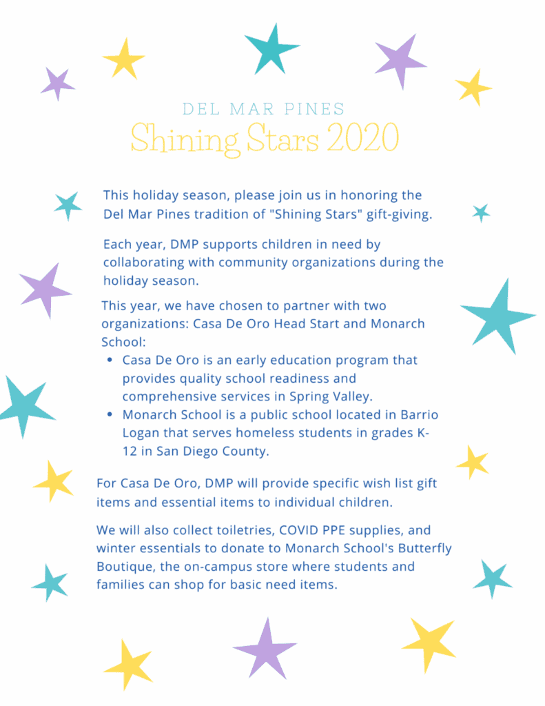 DMP Shining Stars 2020 poster